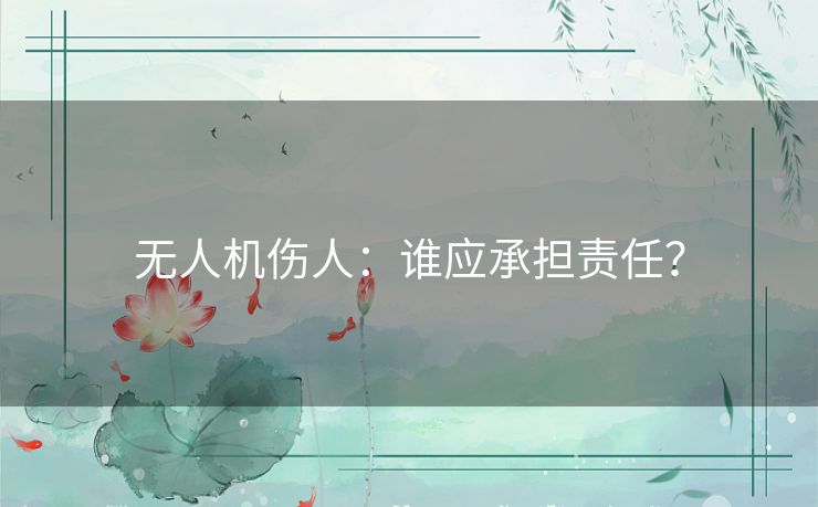 无人机伤人:谁应承担责任? 无人机伤人:谁应承担责任?