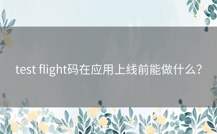 test flight码在应用上线前能做什么? test flight码在应用上线前能做什么?