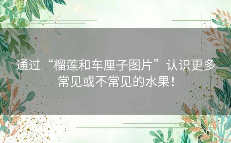 通过“榴莲和车厘子图片”认识更多常见或不常见的水果! 通过“榴莲和车厘子图片”认识更多常见或不常见的水果!