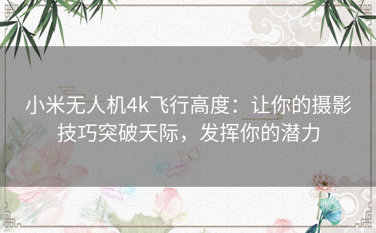 小米无人机4k飞行高度:让你的摄影技巧突破天际,发挥你的潜力 小米无人机4k飞行高度:让你的摄影技巧突破天际,发挥你的潜力