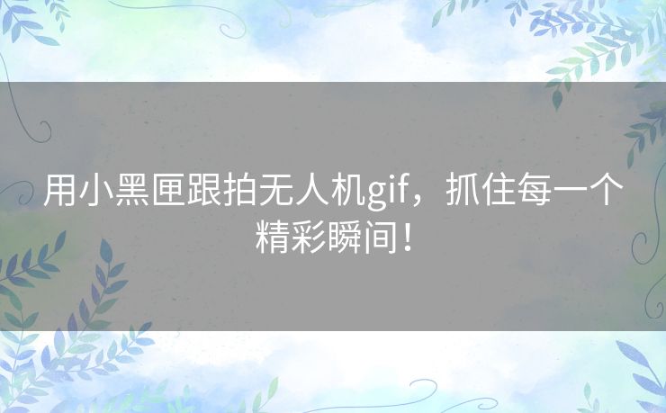 用小黑匣跟拍无人机gif，抓住每一个精彩瞬间！