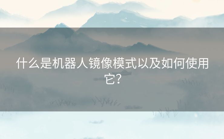 什么是机器人镜像模式以及如何使用它? 什么是机器人镜像模式以及如何使用它?