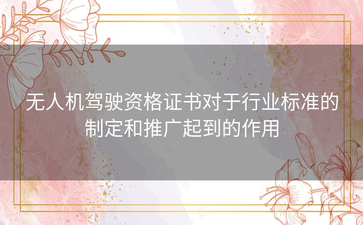 无人机驾驶资格证书对于行业标准的制定和推广起到的作用 无人机驾驶资格证书对于行业标准的制定和推广起到的作用