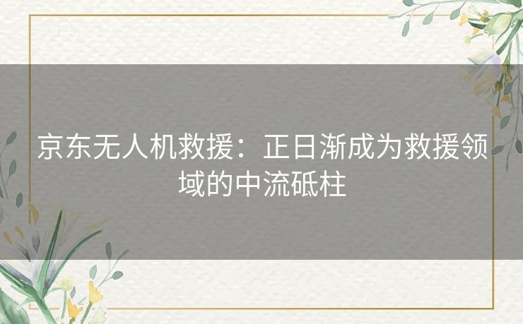 京东无人机救援:正日渐成为救援领域的中流砥柱 京东无人机救援:正日渐成为救援领域的中流砥柱