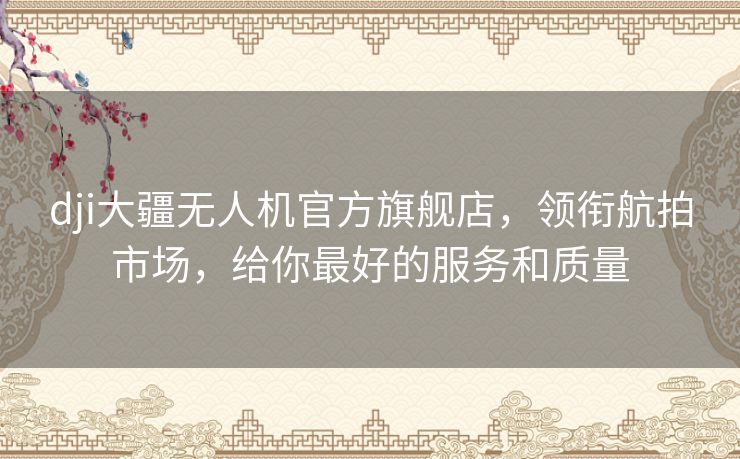 dji大疆无人机官方旗舰店，领衔航拍市场，给你最好的服务和质量