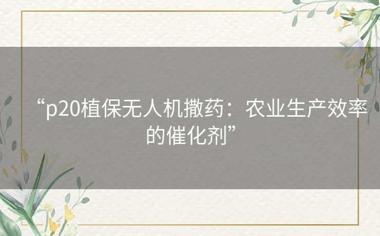 “p20植保无人机撒药:农业生产效率的催化剂” “p20植保无人机撒药:农业生产效率的催化剂”