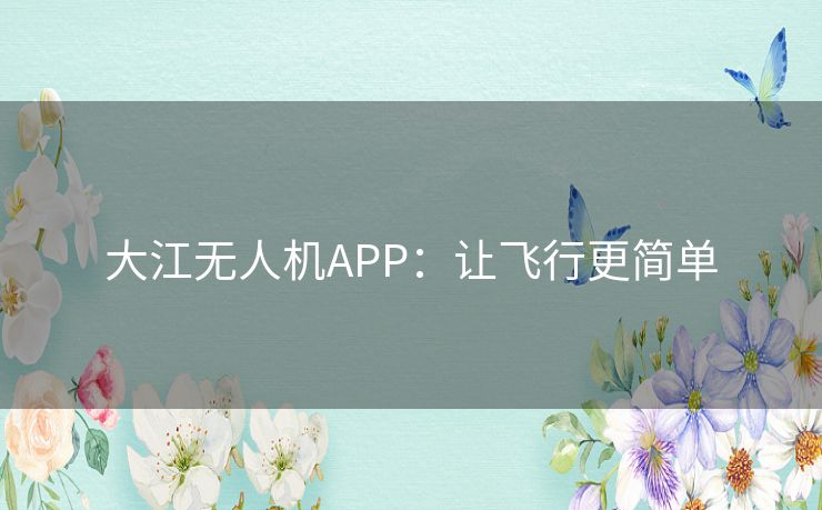 大江无人机APP：让飞行更简单