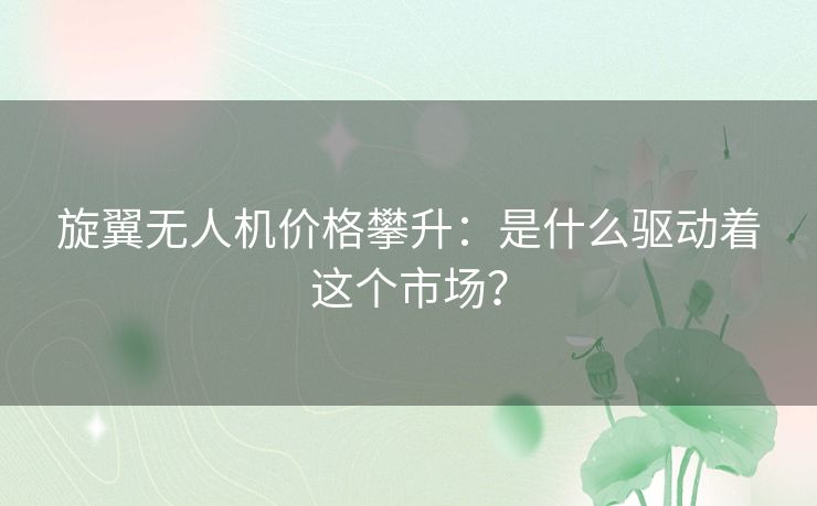 旋翼无人机价格攀升:是什么驱动着这个市场? 旋翼无人机价格攀升:是什么驱动着这个市场?