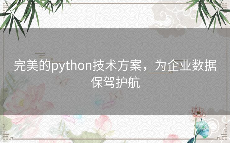 完美的python技术方案,为企业数据保驾护航 完美的python技术方案,为企业数据保驾护航