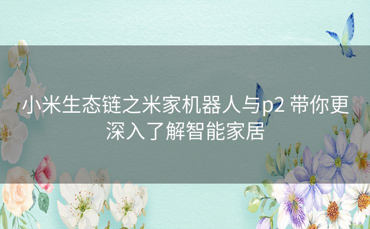 小米生态链之米家机器人与p2 带你更深入了解智能家居 小米生态链之米家机器人与p2 带你更深入了解智能家居