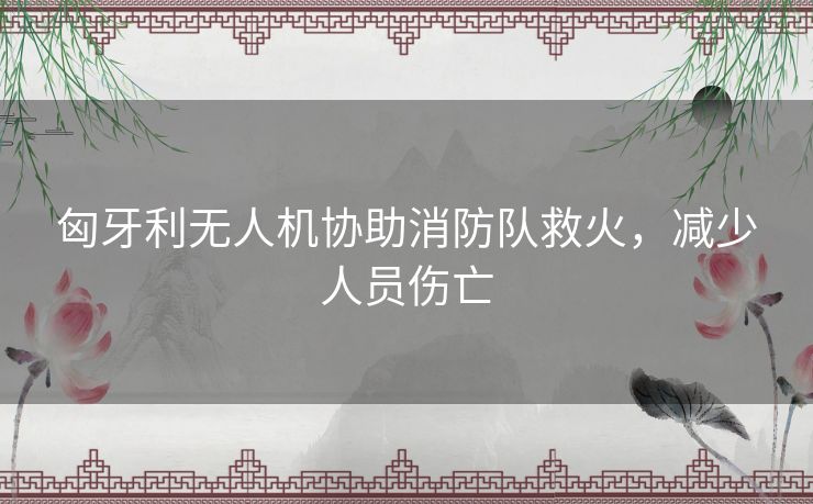 匈牙利无人机协助消防队救火,减少人员伤亡 匈牙利无人机协助消防队救火,减少人员伤亡