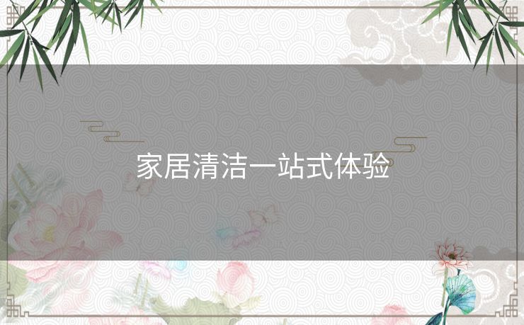 家居清洁一站式体验 家居清洁一站式体验