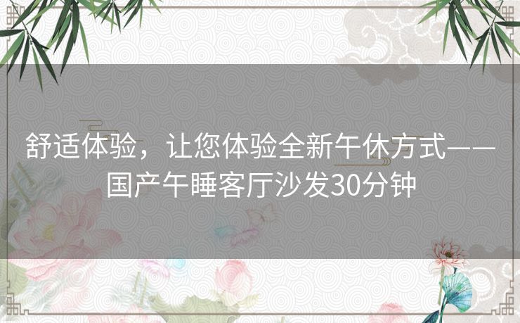 舒适体验,让您体验全新午休方式——国产午睡客厅沙发30分钟 舒适体验,让您体验全新午休方式——国产午睡客厅沙发30分钟