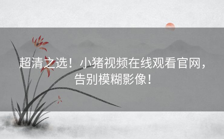 超清之选!小猪视频在线观看官网,告别模糊影像! 超清之选!小猪视频在线观看官网,告别模糊影像!