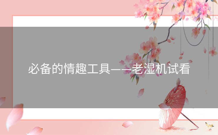 必备的情趣工具——老湿机试看