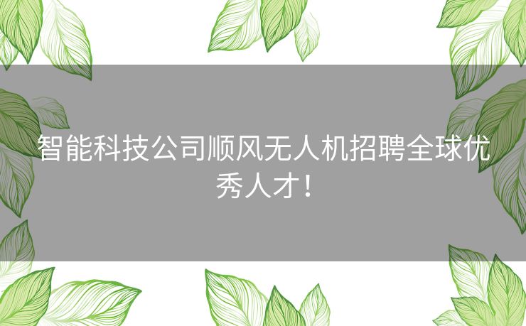 智能科技公司顺风无人机招聘全球优秀人才! 智能科技公司顺风无人机招聘全球优秀人才!