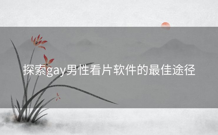 探索gay男性看片软件的最佳途径 探索gay男性看片软件的最佳途径