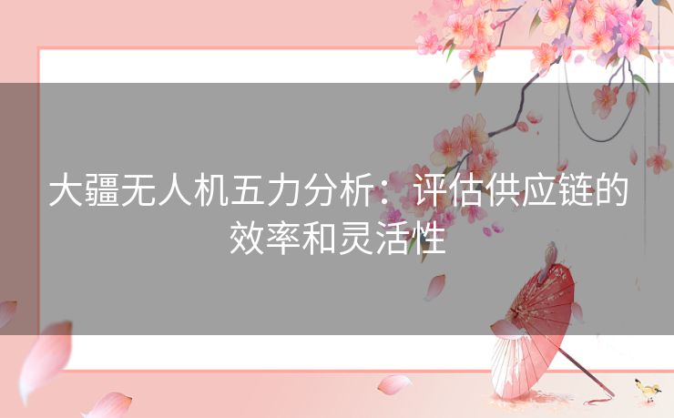 大疆无人机五力分析:评估供应链的效率和灵活性 大疆无人机五力分析:评估供应链的效率和灵活性