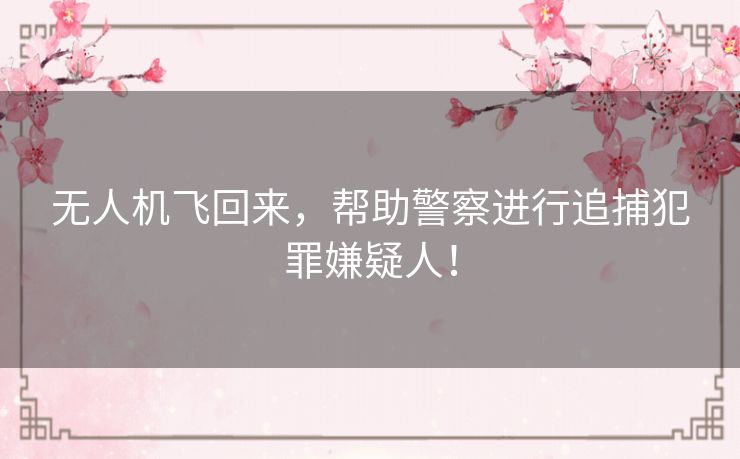 无人机飞回来,帮助警察进行追捕犯罪嫌疑人! 无人机飞回来,帮助警察进行追捕犯罪嫌疑人!