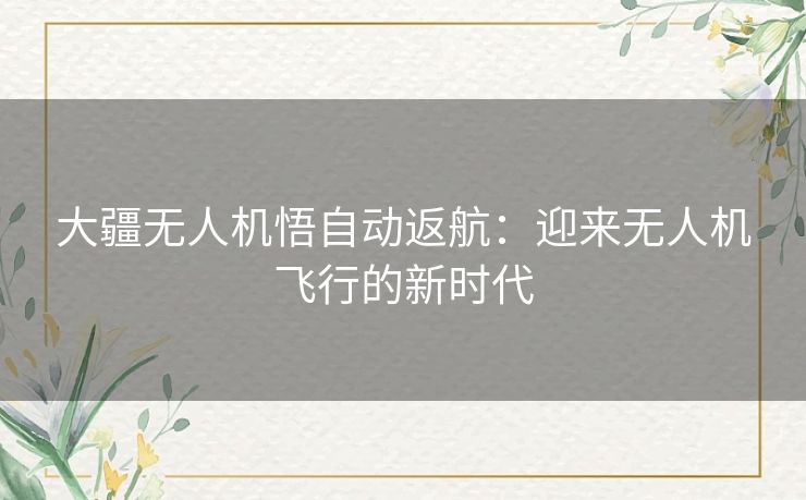 大疆无人机悟自动返航:迎来无人机飞行的新时代 大疆无人机悟自动返航:迎来无人机飞行的新时代