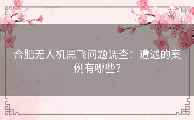 合肥无人机黑飞问题调查:遭遇的案例有哪些? 合肥无人机黑飞问题调查:遭遇的案例有哪些?