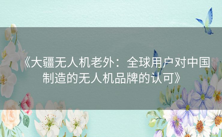 《大疆无人机老外:全球用户对中国制造的无人机品牌的认可》 《大疆无人机老外:全球用户对中国制造的无人机品牌的认可》