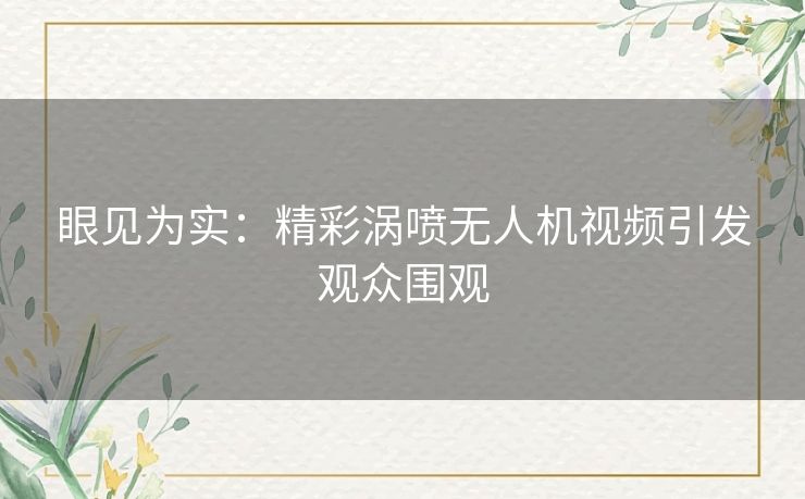 眼见为实:精彩涡喷无人机视频引发观众围观 眼见为实:精彩涡喷无人机视频引发观众围观