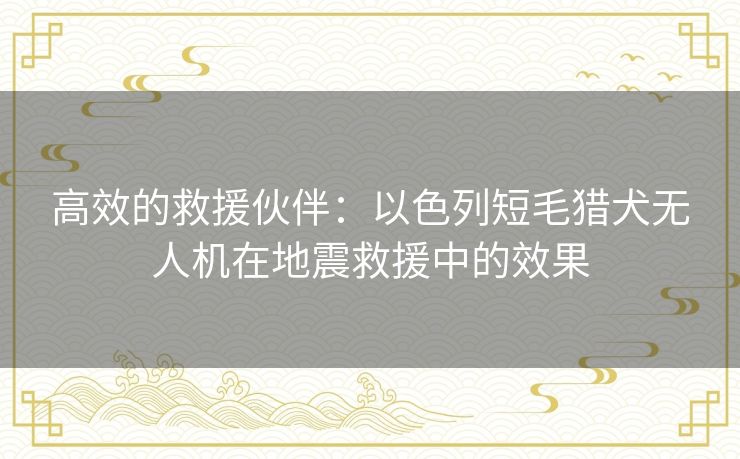 高效的救援伙伴:以色列短毛猎犬无人机在地震救援中的效果 高效的救援伙伴:以色列短毛猎犬无人机在地震救援中的效果