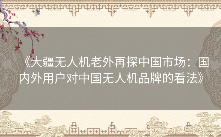 《大疆无人机老外再探中国市场:国内外用户对中国无人机品牌的看法》 《大疆无人机老外再探中国市场:国内外用户对中国无人机品牌的看法》