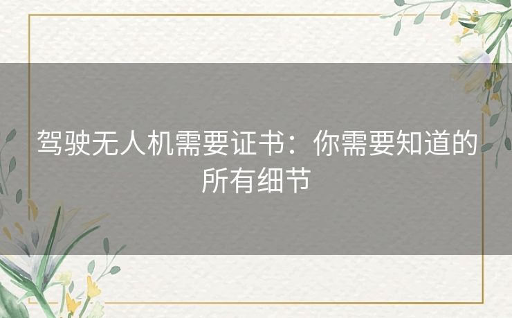 驾驶无人机需要证书:你需要知道的所有细节 驾驶无人机需要证书:你需要知道的所有细节
