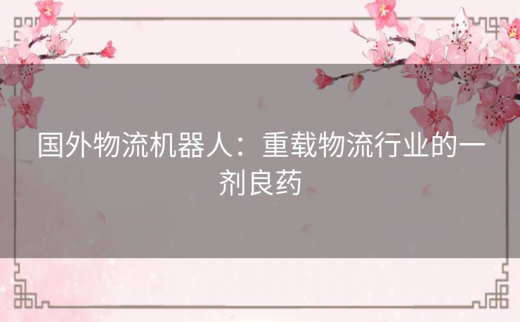 国外物流机器人:重载物流行业的一剂良药 国外物流机器人:重载物流行业的一剂良药