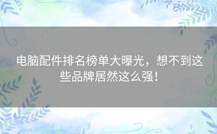 电脑配件排名榜单大曝光,想不到这些品牌居然这么强! 电脑配件排名榜单大曝光,想不到这些品牌居然这么强!