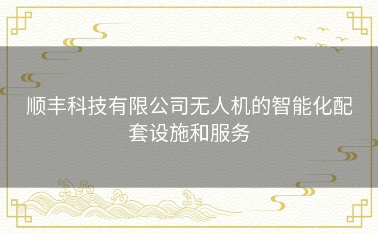 顺丰科技有限公司无人机的智能化配套设施和服务 顺丰科技有限公司无人机的智能化配套设施和服务