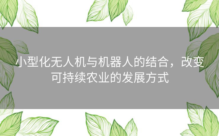 小型化无人机与机器人的结合,改变可持续农业的发展方式 小型化无人机与机器人的结合,改变可持续农业的发展方式