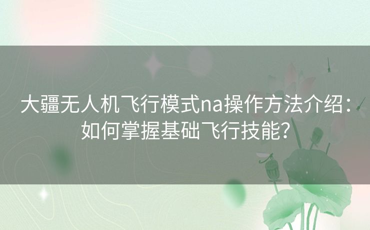 大疆无人机飞行模式na操作方法介绍:如何掌握基础飞行技能? 大疆无人机飞行模式na操作方法介绍:如何掌握基础飞行技能?