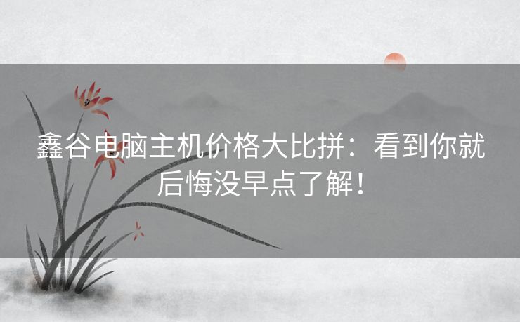 鑫谷电脑主机价格大比拼:看到你就后悔没早点了解! 鑫谷电脑主机价格大比拼:看到你就后悔没早点了解!