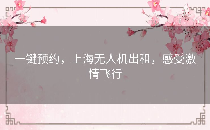 一键预约，上海无人机出租，感受激情飞行