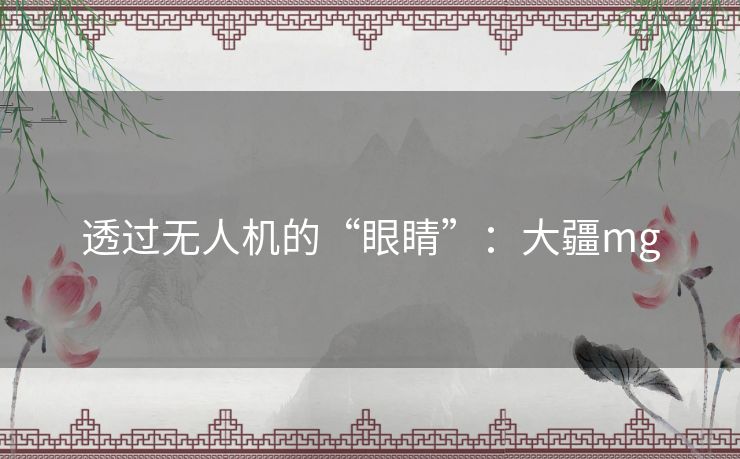 透过无人机的“眼睛”:大疆mg 透过无人机的“眼睛”:大疆mg