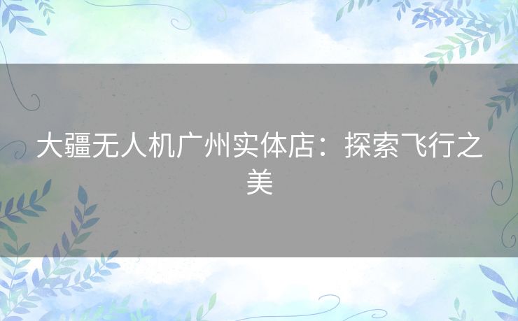 大疆无人机广州实体店:探索飞行之美 大疆无人机广州实体店:探索飞行之美