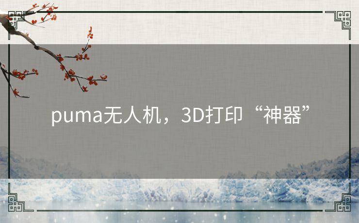 puma无人机,3D打印“神器” puma无人机,3D打印“神器”