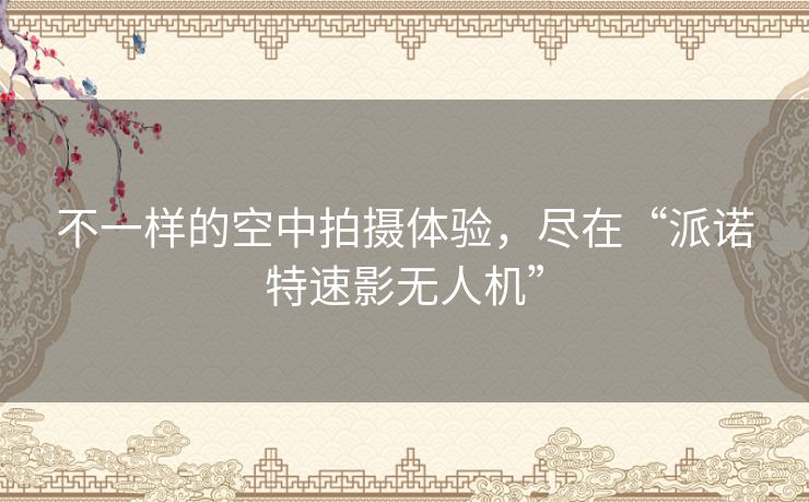 不一样的空中拍摄体验,尽在“派诺特速影无人机” 不一样的空中拍摄体验,尽在“派诺特速影无人机”
