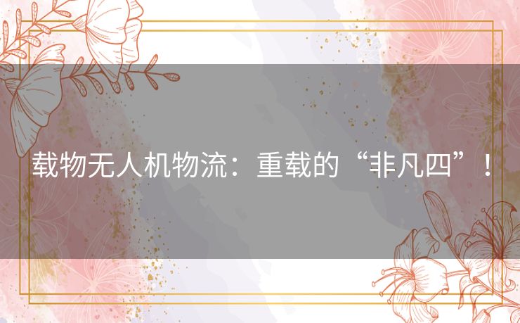 载物无人机物流:重载的“非凡四”! 载物无人机物流:重载的“非凡四”!