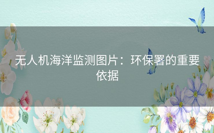 无人机海洋监测图片:环保署的重要依据 无人机海洋监测图片:环保署的重要依据