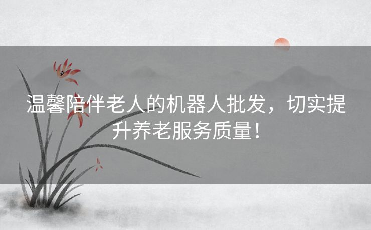 温馨陪伴老人的机器人批发,切实提升养老服务质量! 温馨陪伴老人的机器人批发,切实提升养老服务质量!