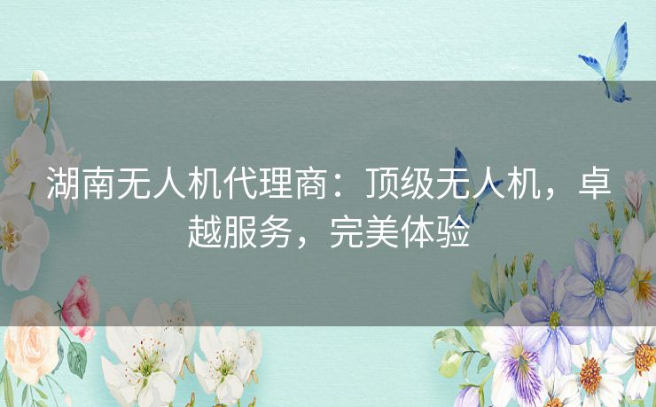 湖南无人机代理商:顶级无人机,卓越服务,完美体验 湖南无人机代理商:顶级无人机,卓越服务,完美体验