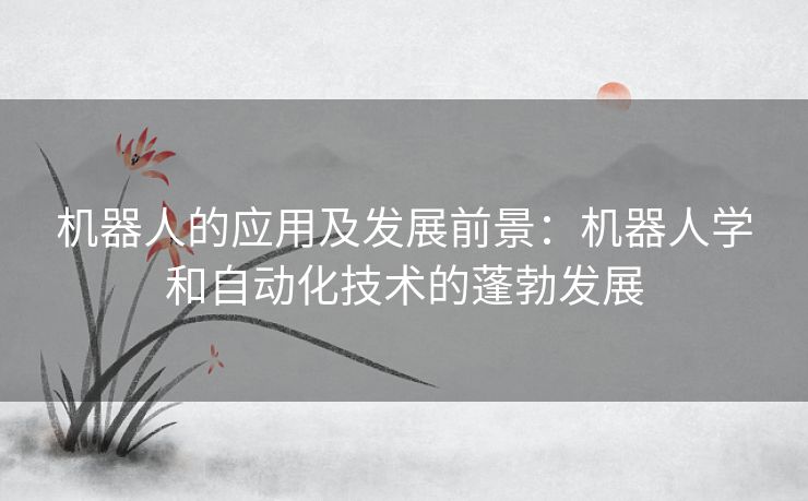 机器人的应用及发展前景:机器人学和自动化技术的蓬勃发展 机器人的应用及发展前景:机器人学和自动化技术的蓬勃发展