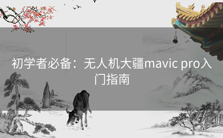 初学者必备:无人机大疆mavic pro入门指南 初学者必备:无人机大疆mavic pro入门指南
