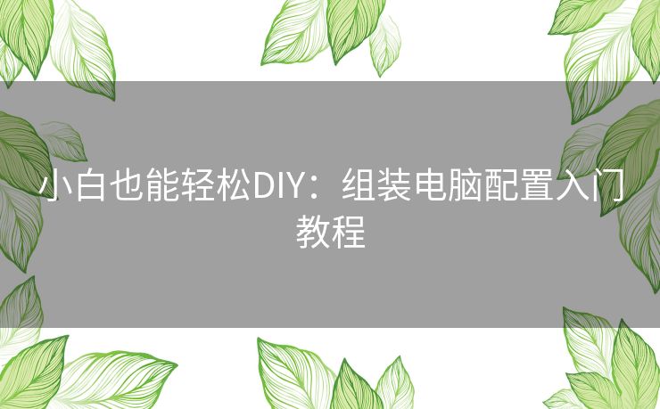 小白也能轻松DIY:组装电脑配置入门教程 小白也能轻松DIY:组装电脑配置入门教程