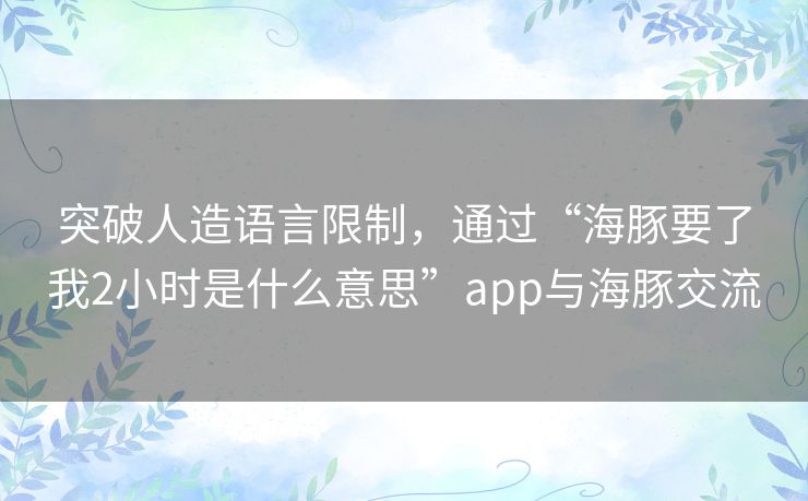 突破人造语言限制，通过“海豚要了我2小时是什么意思”app与海豚交流