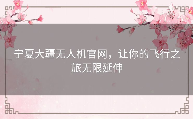 宁夏大疆无人机官网,让你的飞行之旅无限延伸 宁夏大疆无人机官网,让你的飞行之旅无限延伸